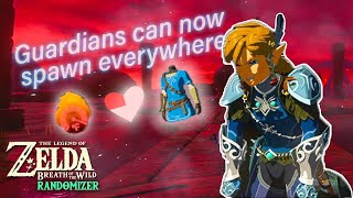 The BotW Randomizer is PURE CHAOS