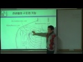 수기요법(경혈지압) 1 견관절 구조와기능 - 한세영 학회장 - 수기코어 서봉 지압 스포츠 발마사지 학원