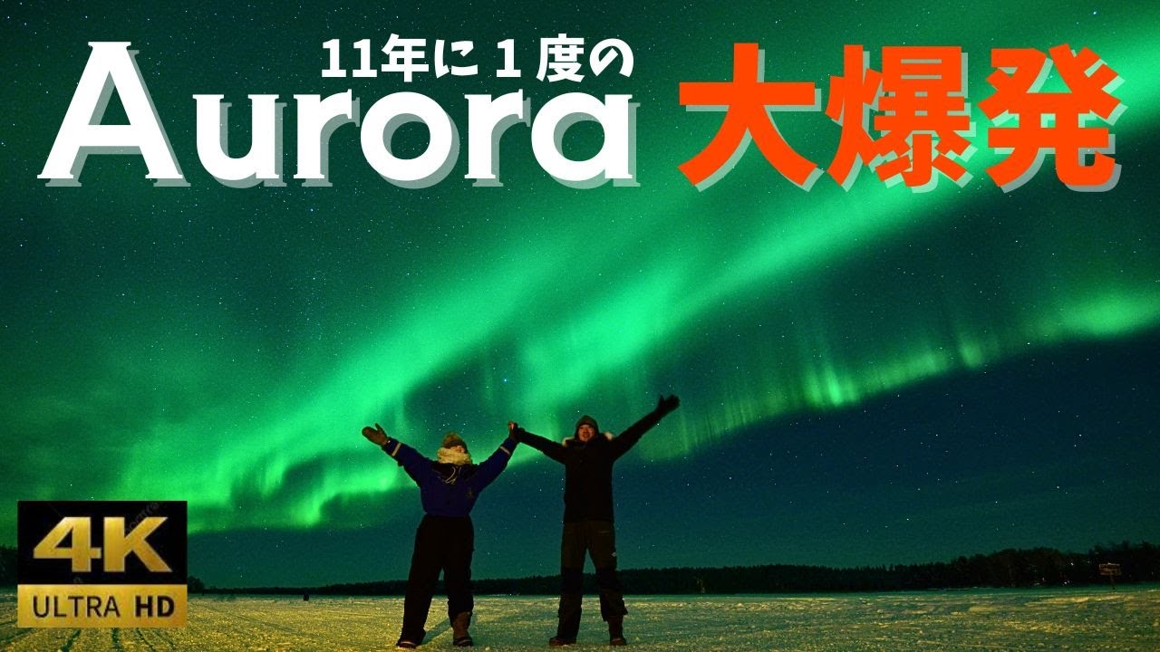 【オーロラ大爆発】北極圏を犬ぞりとスノーモービルで疾走！フィンランドの真冬の大自然と神秘的なオーロラを満喫❄️