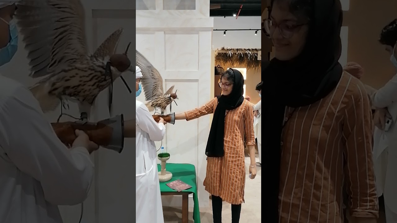 50th UAE National Day Celebration | WITH UAE NATIONAL BIRD FALCON | LIVE EXPERIENCE WITH FALCON 