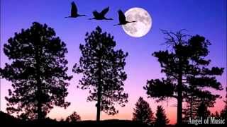 Claude Debussy - Clair de Lune