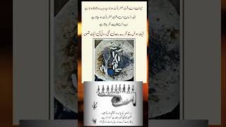 True Words For Great