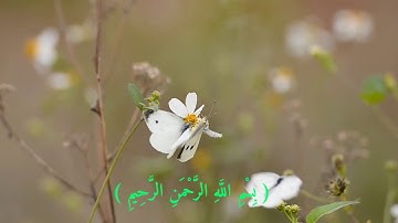ماتيسر من سورة يس بتلاوة جميلة جدا من ليالي رمضان 2020للشيخ علي راشد الوصابي