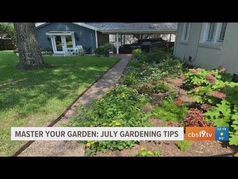 Video: Seznam úkolů pro zahradu – Správa South Central Garden v červenci
