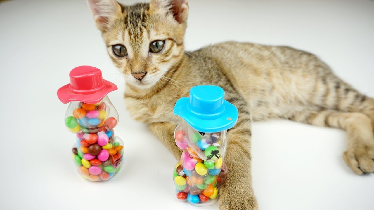 M&M's Collection Candy Unboxing & Learn Colors with Surprise Toys M&M's Chocolate for Children Song