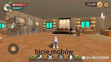 NOOB vs PRO  [Cat sim]❤