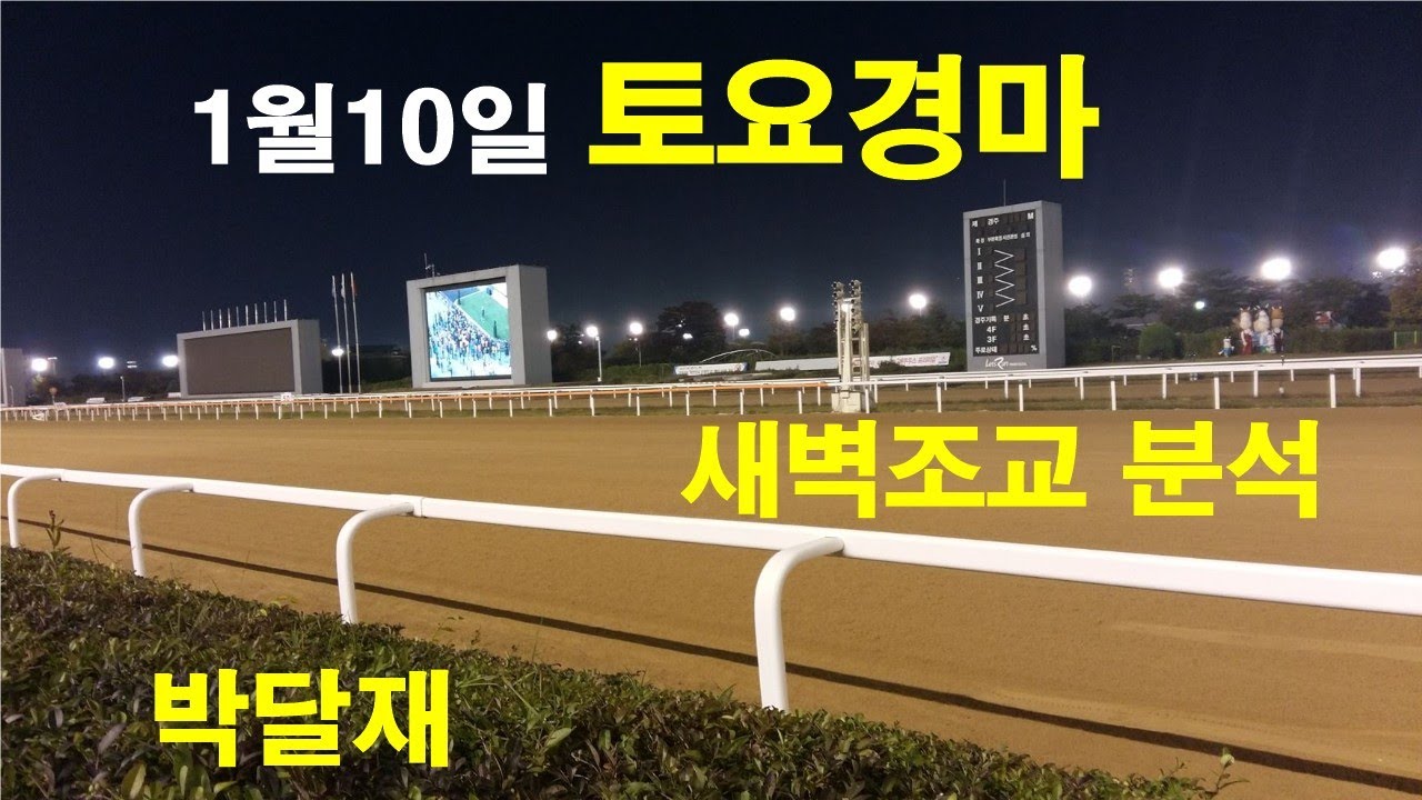 1월10일 토요경마 새벽조교 경마예상 추천마번 복병마 배당마 온종일 라이브 방송 서울경마 부경경마 경주분석 추천마번 예상방송 박달재