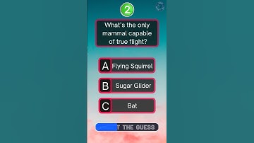 Ultimate General Knowledge Quiz – Can You Get 5/5? 💡🌍