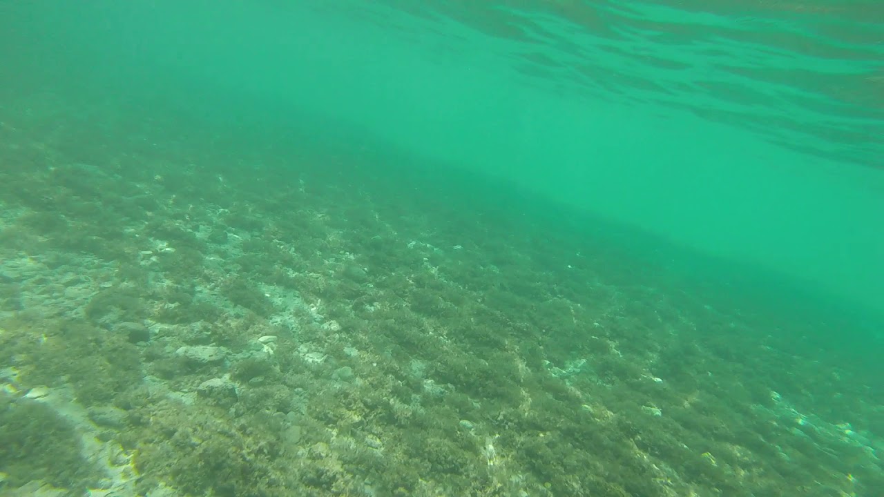 Nassau Bahamas Snorkeling Junkanoo Beach YouTube