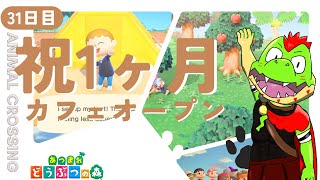 【31日目】祝1ヶ月！カフェオープン！！株もしっかり買う！！！【川鰐グラムのあつまれどうぶつの森実況】（あつ森・ポケ森）