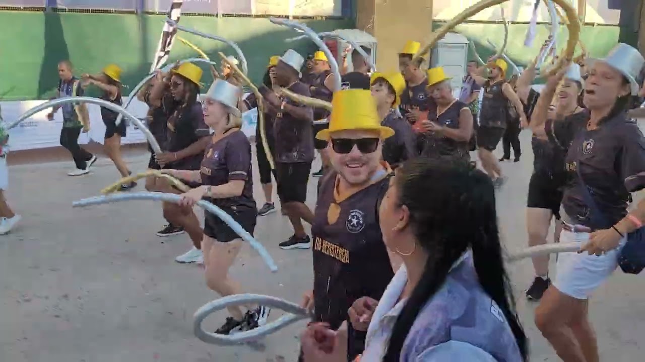 BOTAFOGO SAMBA CLUBE| MINI DESFILE COMPLETO 2026