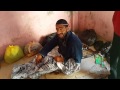 محمد الوكيل با لله عليك هاي عيشة بشر