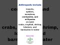 Arthropods - The Largest Phylum #biologybloom #zoology