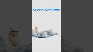Cloud computing, explained by cats. #cloud #coding #cat #software #developer #infrastructure