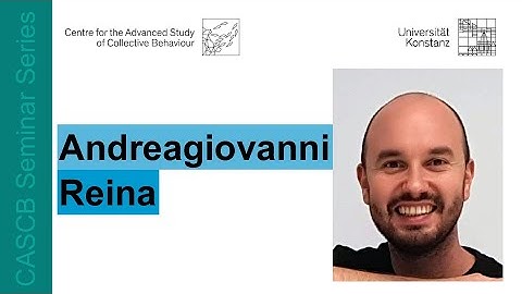 Andreagiovanni Reina - The power of inhibition for collective decision making in robot swarms