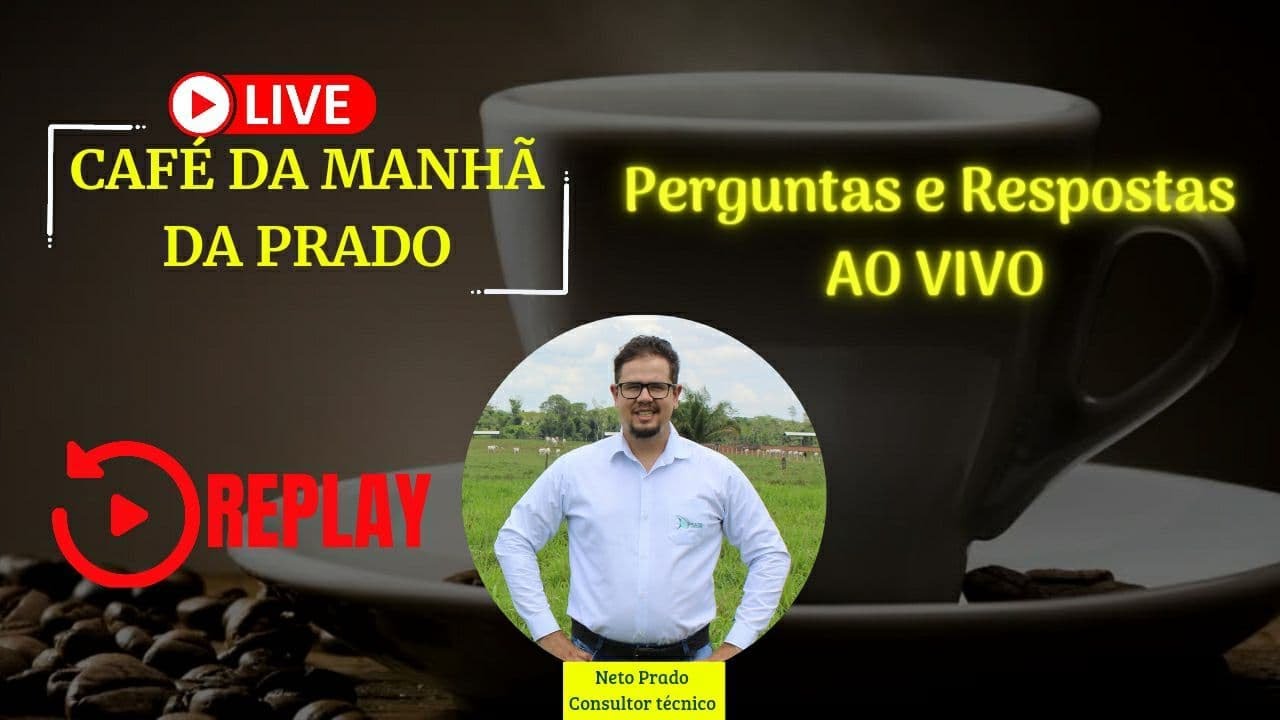 Perguntas e Respostas ao vivo - YouTube