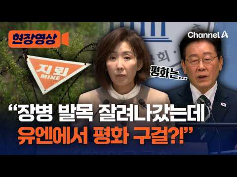 Na Kyung-won: "Lee, a soldier lost his foot, yet is 'begging for peace' at the UN appropriate?" [...