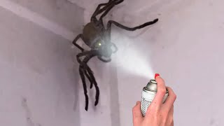 why did I spray this huge SPIDER...