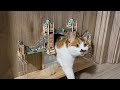 令人震惊的小猫门装饰 #woodworking #cat #catdoor