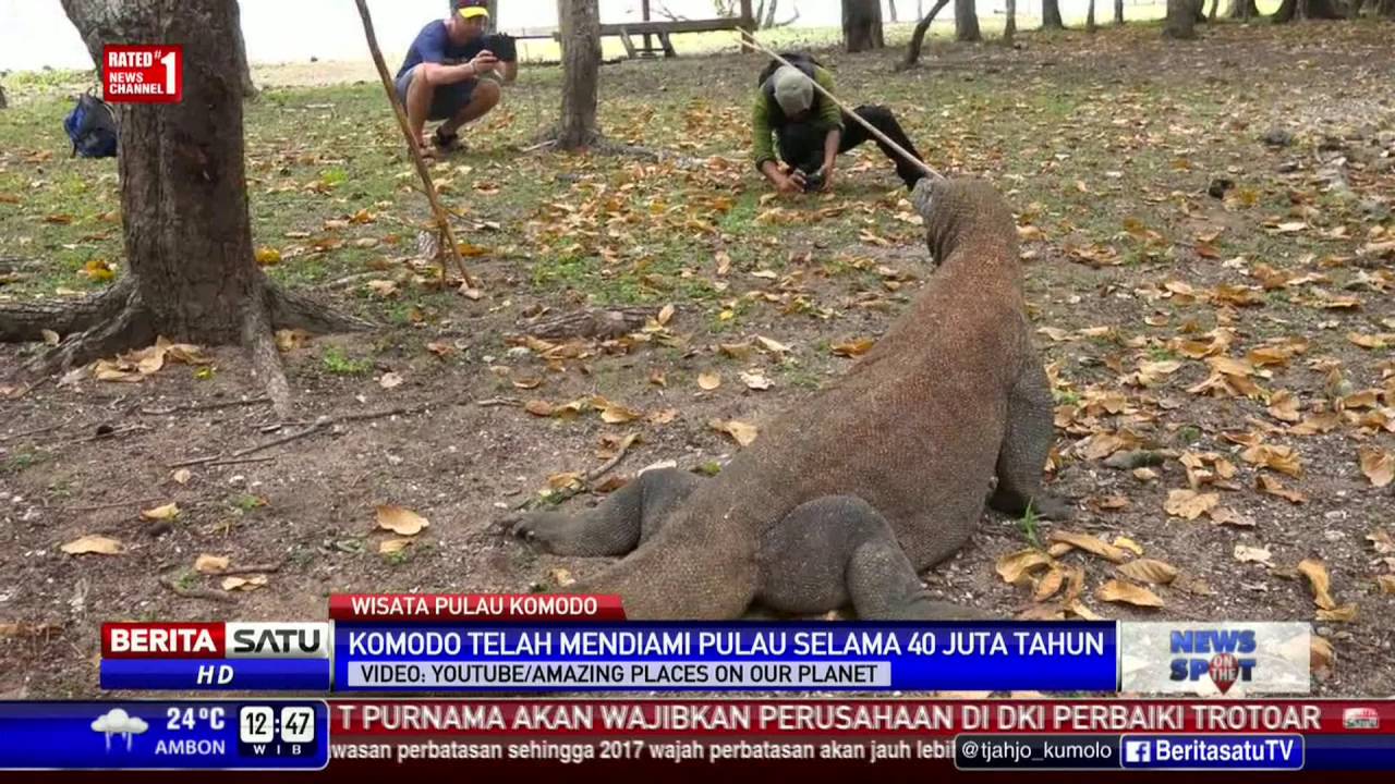 Wisata Uji Adrenalin di Pulau Komodo