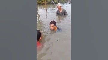 đạp hang bắt cá ngát cặp P1#shorts