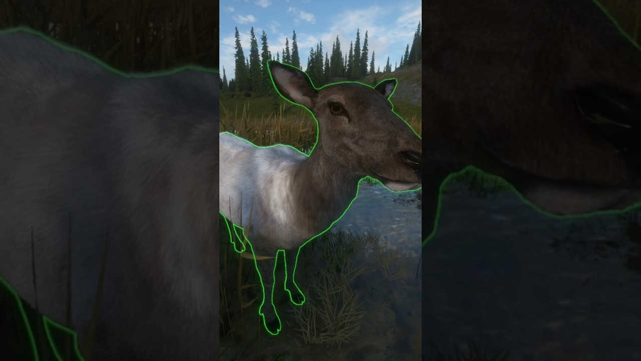 Mam can I help you?😂  