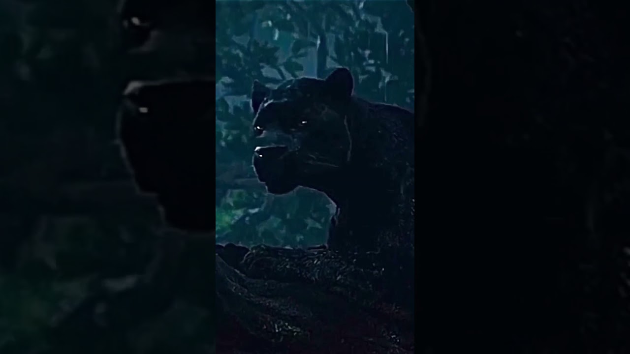 BAGHEERA 