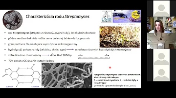 Proč jsou antibiotika bez problémů?