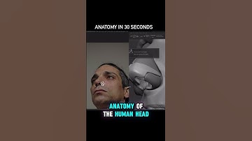 Sculpting The Nose In ZBrush... #zbrush #sculpting