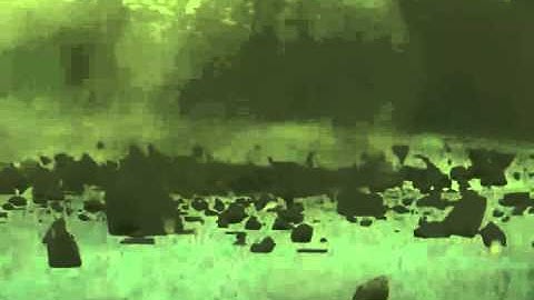 Fx guru video 1=bunker buster