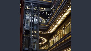 Vivacious Empty Elevators