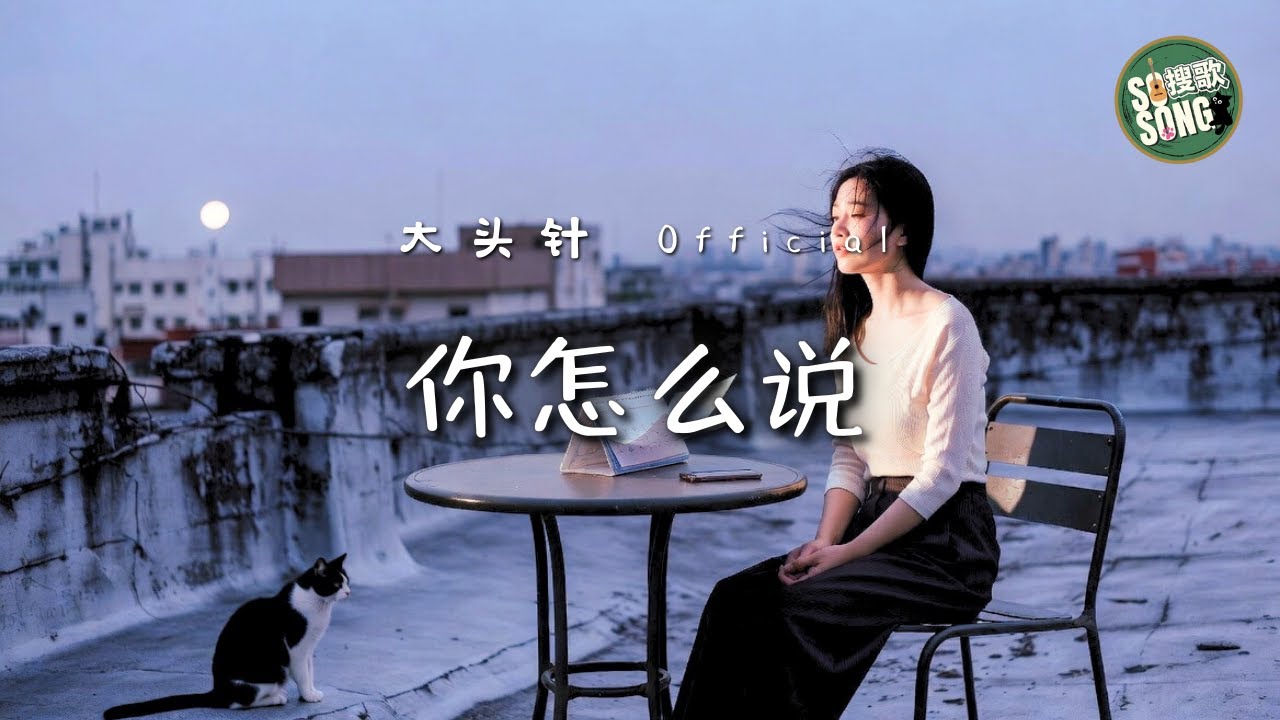 大頭針 Official - 你怎麼說｜Da Tou Zhen - Ni Zen Me Shuo (Ni Zen Me Shuo)【高音質・拼音動態歌詞】你怎么说 - 大头针 Official