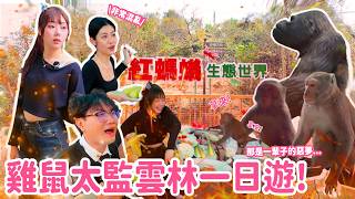 【一起出遊吧！】猴子即將佔領世界？！阿松阿雞科科雲林一日遊！