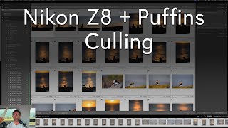 Puffins with Nikon Z8 and 100 400mm - Culling
Watch me cull and narrow down my favorite photos from a shoot with Atlantic Puffins in Newfoundland. To watch the full shoot video visit https://youtu.be/Clo6KtsOM4U
To view larger photos and more info about the shoot visit
https://rayhennessy.com/lessons/pov-wildlife-photography-puffins-with-the-nikon-z8-and-100-400mm-lens-in-newfoundland Puffins with Nikon Z8 and 100 400mm - Culling