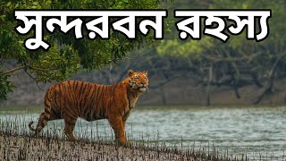 সুন্দরবন রহস্য !!  2 Nights 3 Days Sundarban CHEAP Tour Package