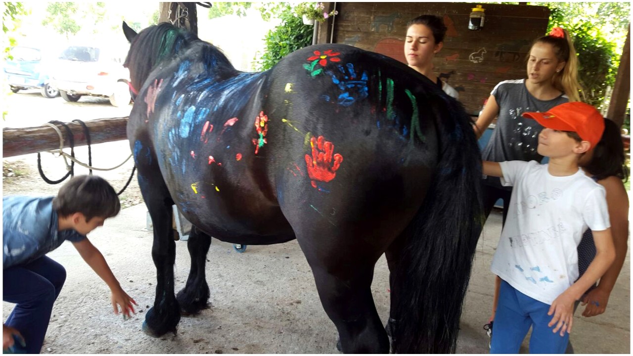 Turin fiume eridano italie cruises ripulito rifiuti spazzatura rimossi gambarana dario zeta volontari villes piemontese popinga chiama albherto polini mole24 Un po' di storia - YouTube