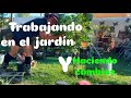 🚨 DE NUEVO TRABAJANDO y cómo aclimato yo mis plantas