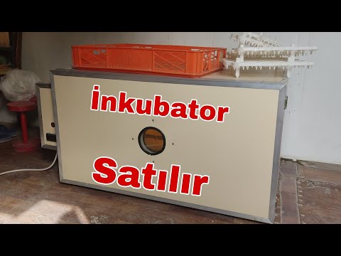 İnkubator Satılır  #inkubator