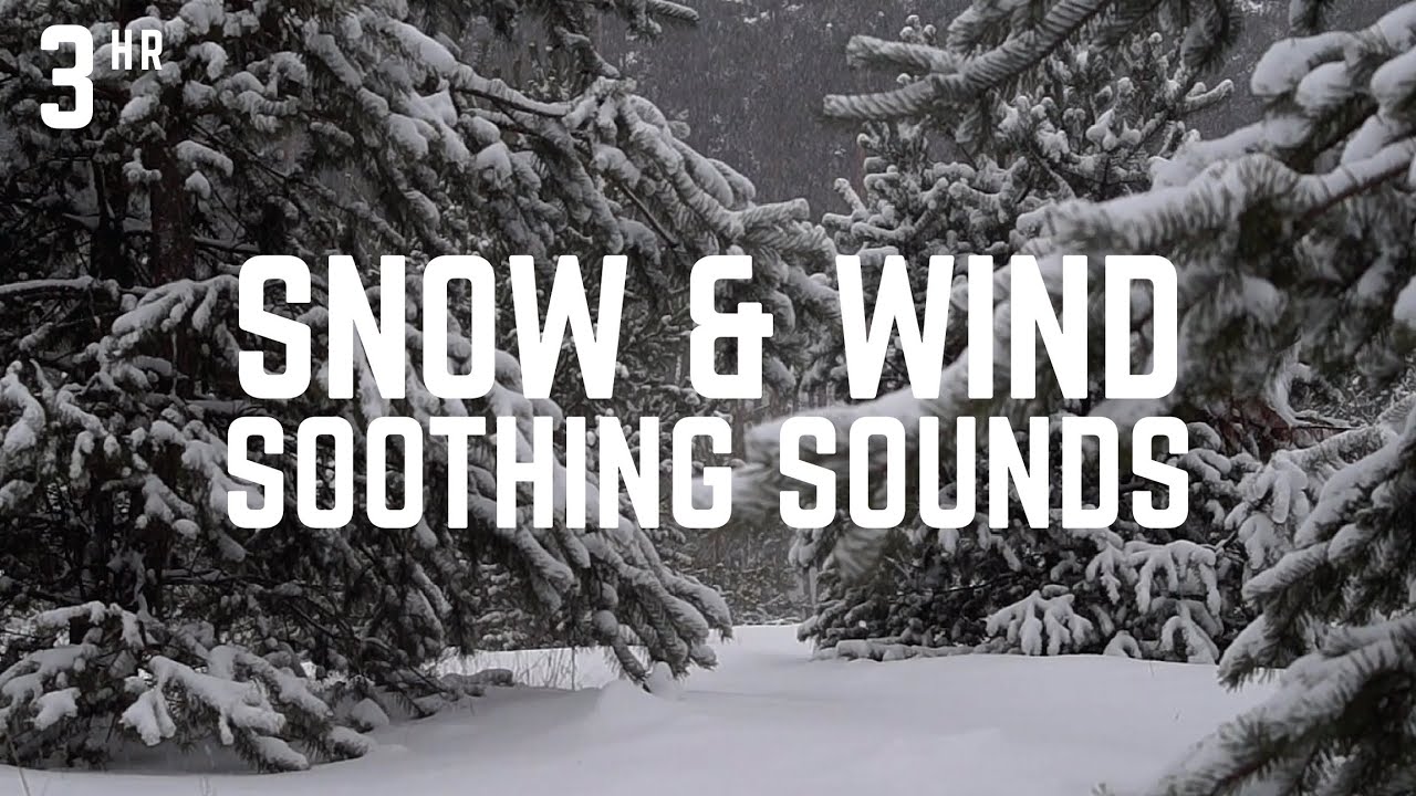 Blizzard Ambience for Deep Sleep | Howling Snowstorm & Icy Wind Sounds ...