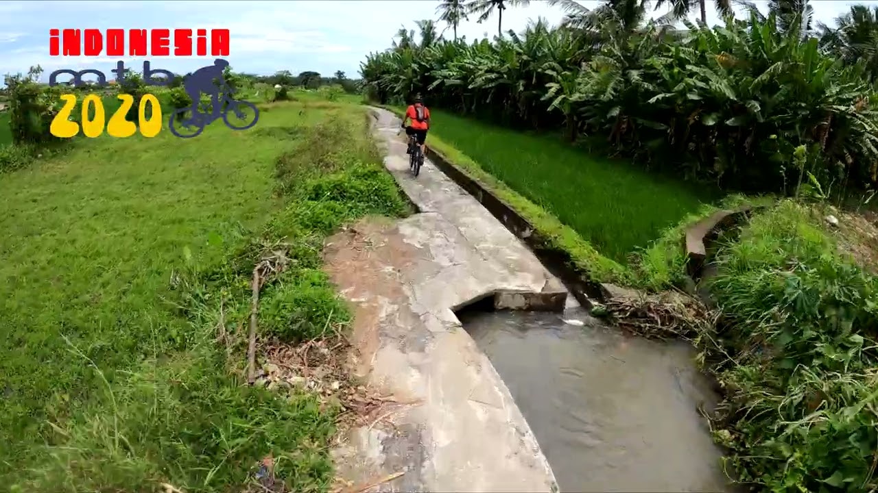 Fun | The Beautiful Winding Trails In-between The Ubud Rice Paddies | Bali, INDONESIA