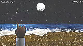 Pecáshión Mills - Moonlight (Official Audio)