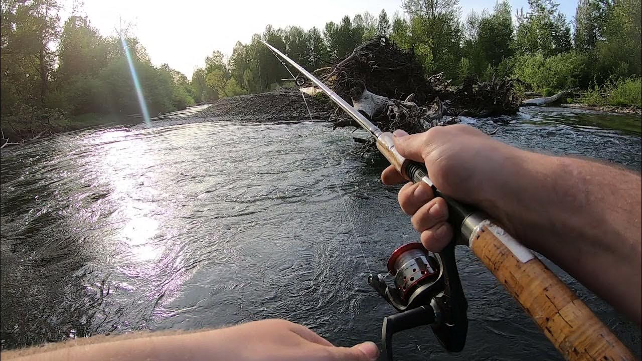 willamette river fishing eugene oregon trout YouTube