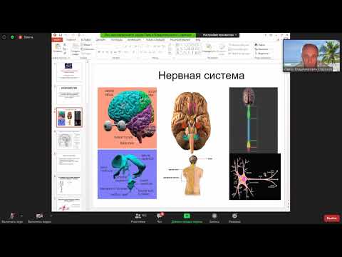 Архив. Строение  и функции нервной системы. Чувствительность. Боль