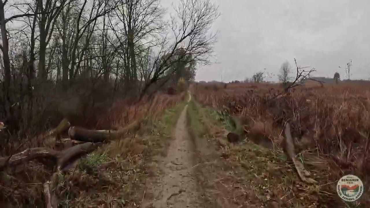 A Rainy Hike on the Blue Trail, Luton Park | Full Hike POV | Hiking ASMR, Nature ASMR | Kent, MI