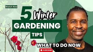 5 Gardening Jobs to Do Right Now (Don’t Wait for Spring)