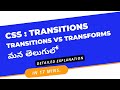 30.CSS Transitions |#css #weekendcodingintelugu