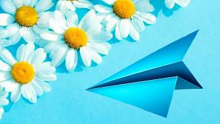 DIY Paper Airplane | Step by Step