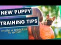 New Puppy Training Myths and Mistakes To Avoid As a First Time Puppy Owner