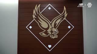 This Is Birdball