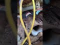 from facebook #hvac #hvacr #hvactechnician #hvacservice #hvacmaintenance #shorts #hvaclife